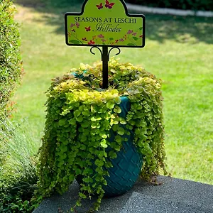  Apartment Seasons At Leschi Hillsides USA